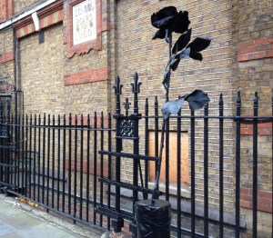 Black Rose by Colville School as seen by DVK